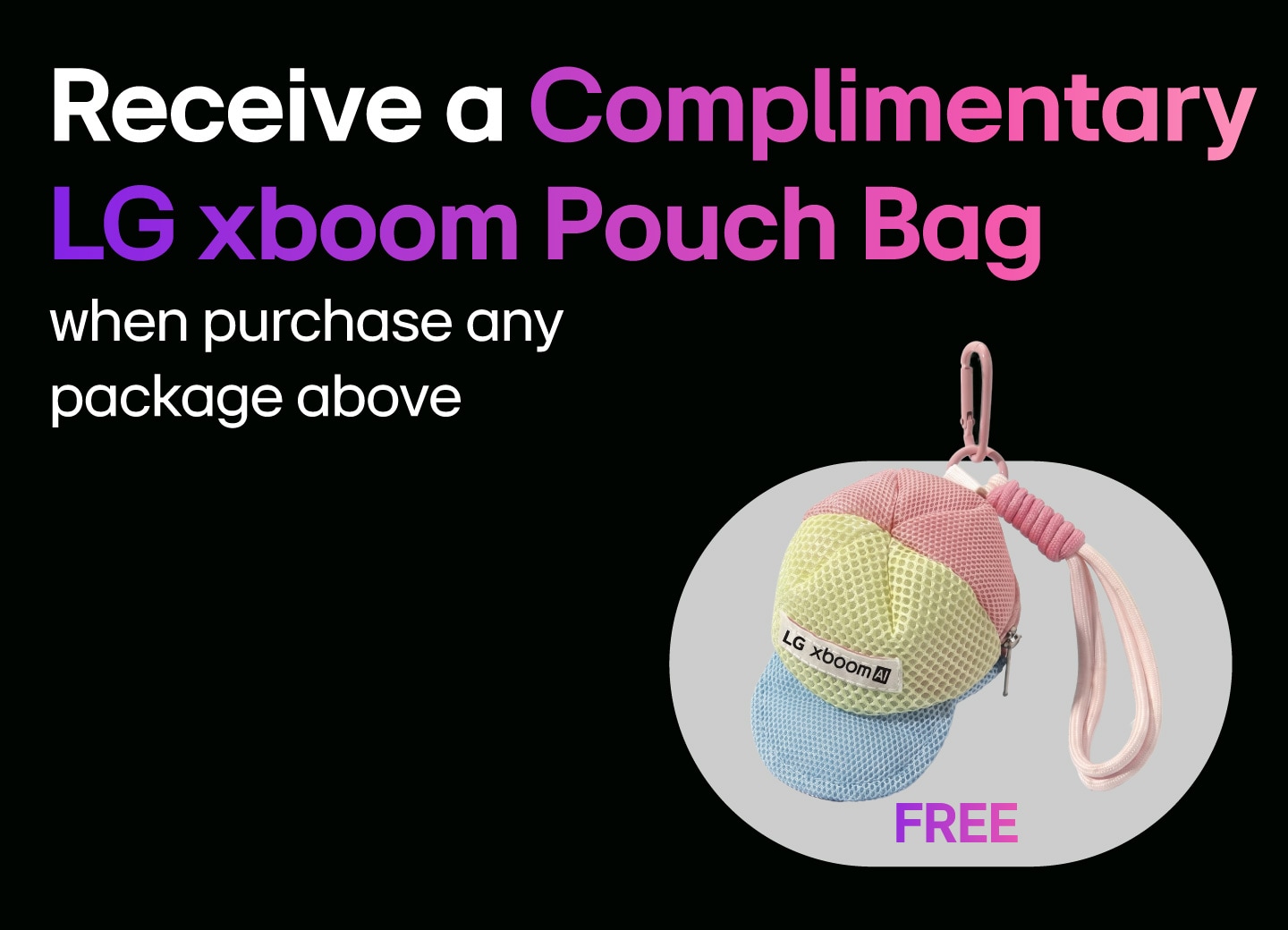 LG xboom pouch bag