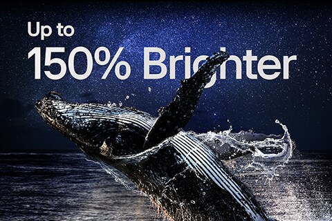 An image of a dolphin jumping out of the water before a starry night sky. Above the whale is the phrase "up to 150% brighter".