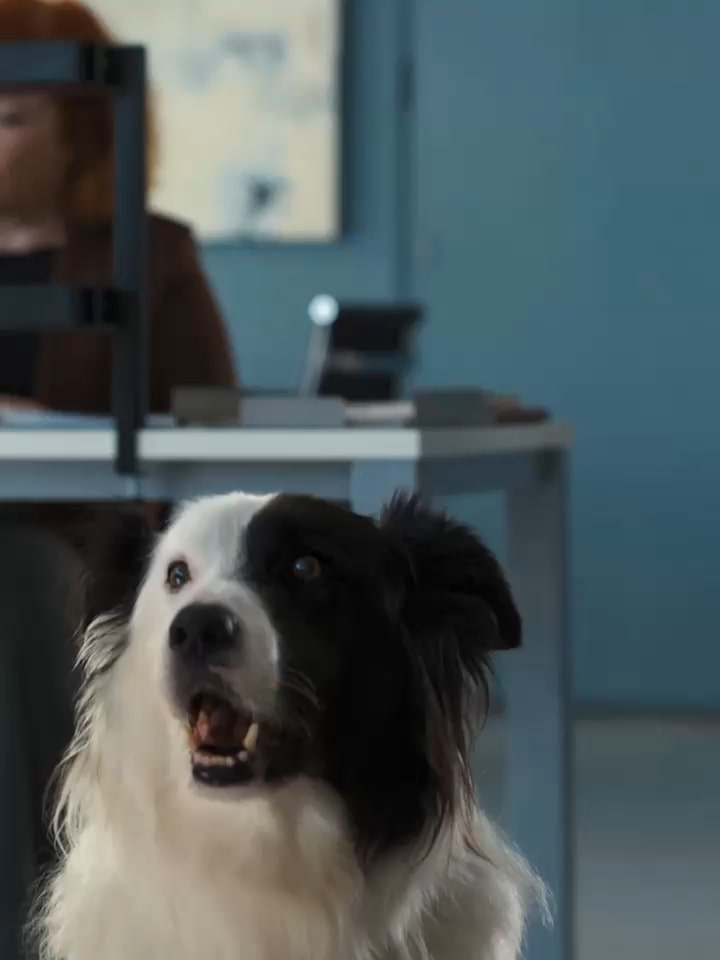 Een andere man fronst zijn neus en raakt hem aan, schijnbaar als reactie op een slechte geur. Achter de hond komt de LG Puricare luchtreiniger in beeld. De man maakt een ontevreden gebaar en er gaat een rood lampje branden in de luchtreiniger.
