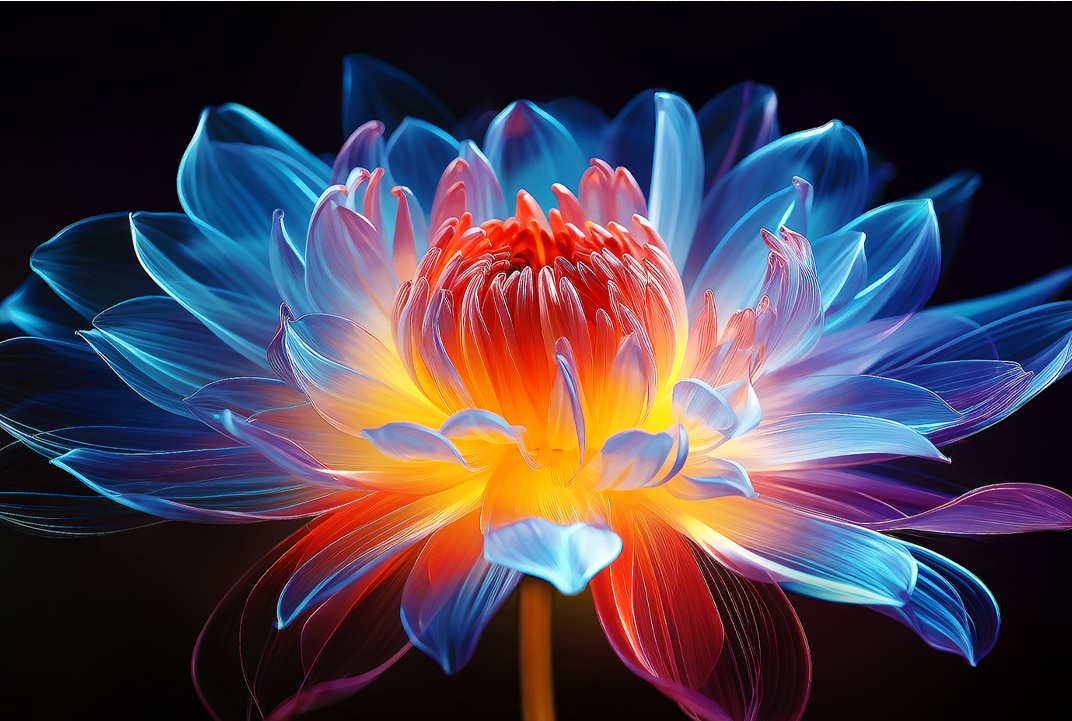 LG TV-scherm met heldere bloem op donkere achtergrond illustreert Mini LED-lichtregeling en helder contrast.