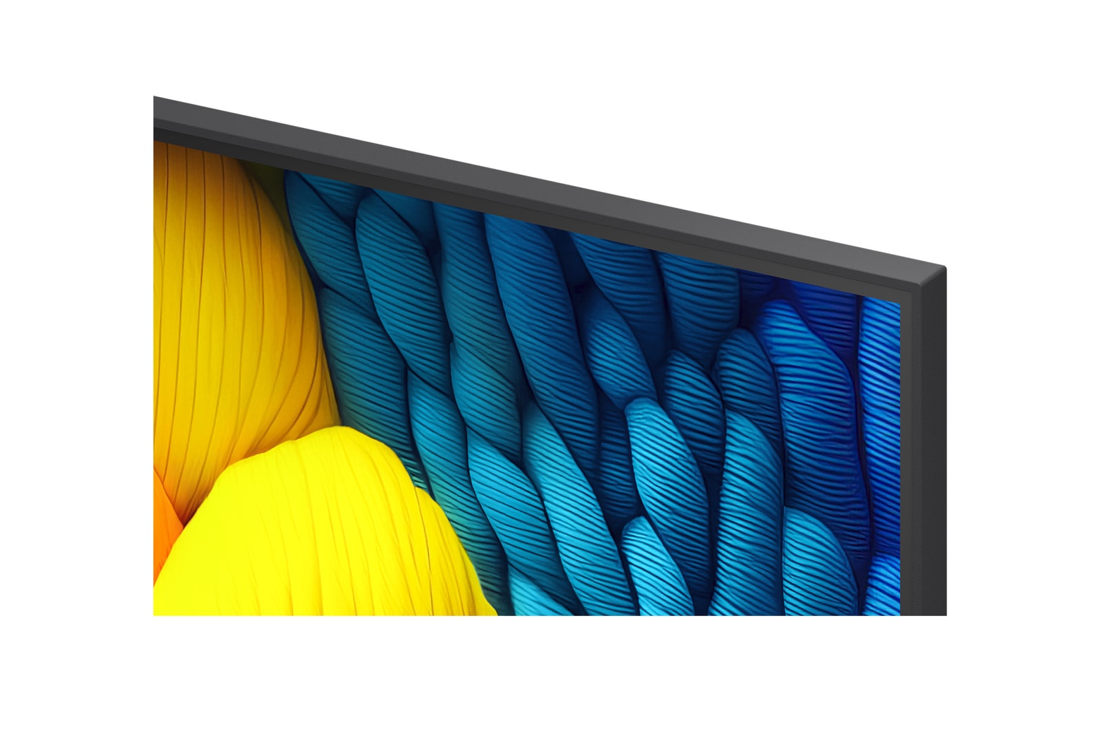 Vóór en na vergelijking van hoe LG 4K Super Opschalen de beeldkwaliteit verbetert. Twee panelen met dezelfde afbeelding van een kleurrijke vogel die op een tak in een bos zit; het rechter paneel is vervaagd. De titel beschrijft hoe 4K Super Opschalen de resolutie, helderheid en duidelijkheid verbetert. 