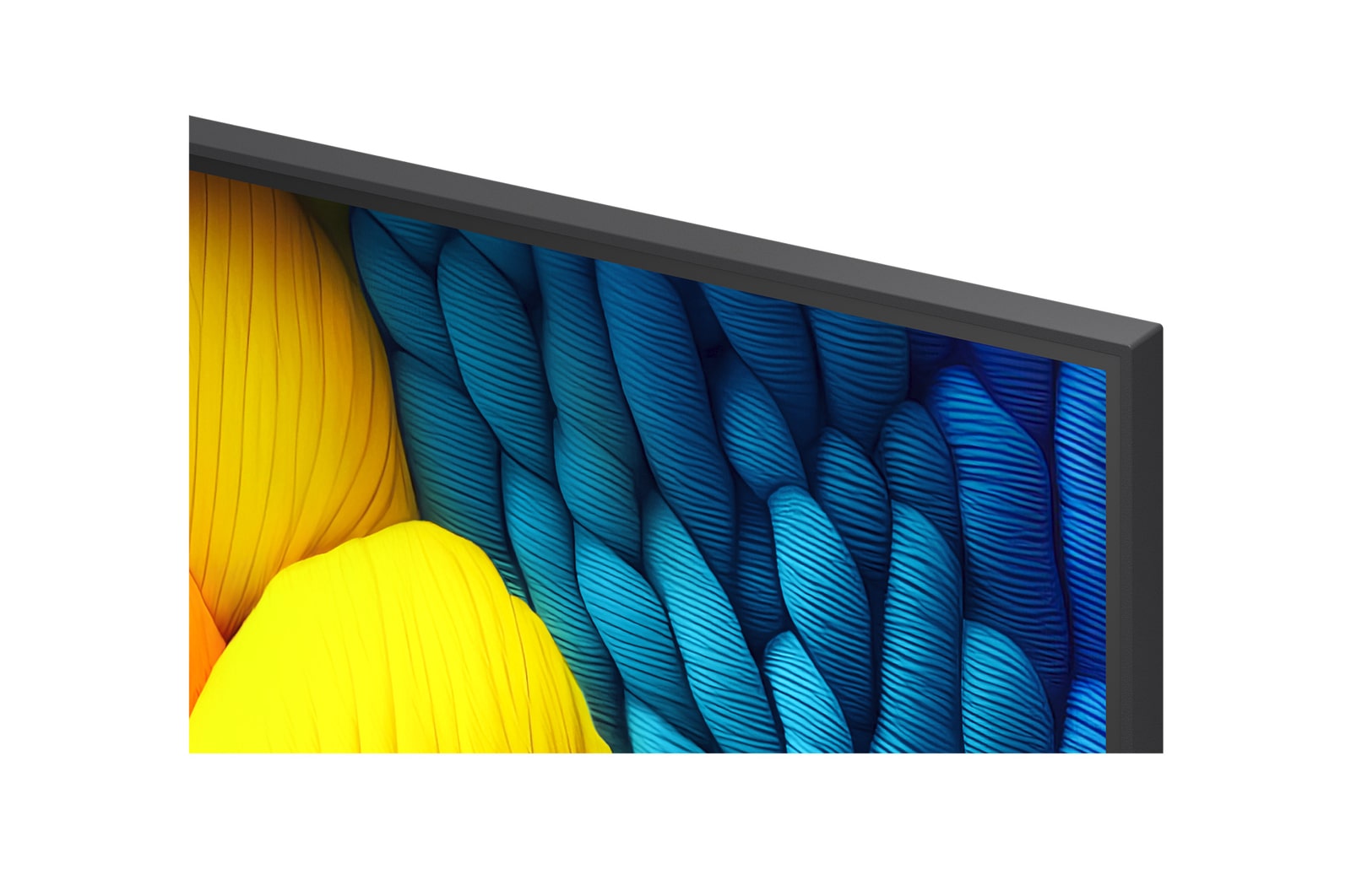 Vóór en na vergelijking van hoe LG 4K Super Opschalen de beeldkwaliteit verbetert. Twee panelen met dezelfde afbeelding van een kleurrijke vogel die op een tak in een bos zit; het rechter paneel is vervaagd. De titel beschrijft hoe 4K Super Opschalen de resolutie, helderheid en duidelijkheid verbetert. 
