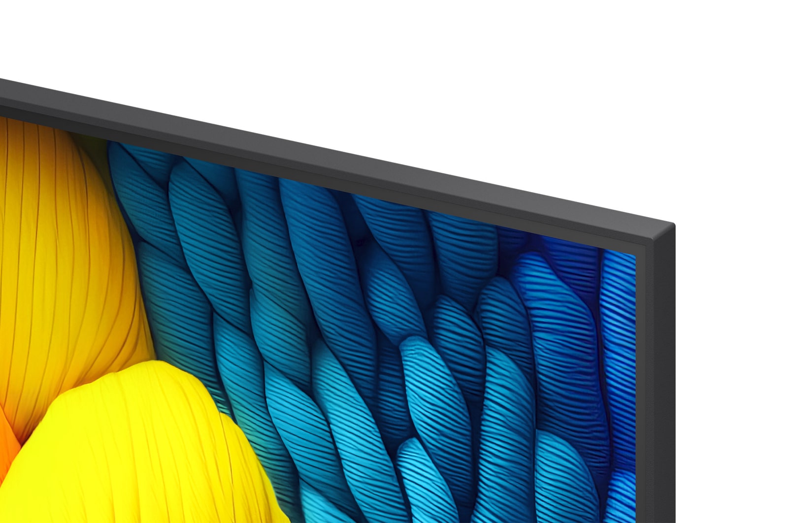Vóór en na vergelijking van hoe LG 4K Super Opschalen de beeldkwaliteit verbetert. Twee panelen met dezelfde afbeelding van een kleurrijke vogel die op een tak in een bos zit; het rechter paneel is vervaagd. De titel beschrijft hoe 4K Super Opschalen de resolutie, helderheid en duidelijkheid verbetert. 