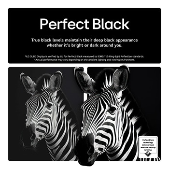 LG 77 inch LG OLED AI B5 4K Smart TV 2025, OLED77B56LA