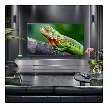 LG 65 inch LG QNED82 AI 4K Smart TV 2025, 65QNED82A6B