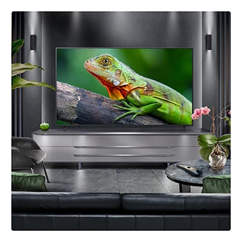 LG 75 inch LG QNED82 AI 4K Smart TV 2025, 75QNED82A6B