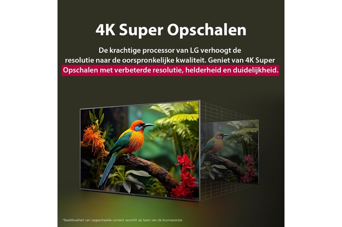 Vóór en na vergelijking van hoe LG 4K Super Opschalen de beeldkwaliteit verbetert. Twee panelen met dezelfde afbeelding van een kleurrijke vogel die op een tak in een bos zit; het rechter paneel is vervaagd. De titel beschrijft hoe 4K Super Opschalen de resolutie, helderheid en duidelijkheid verbetert. 