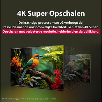 Vóór en na vergelijking van hoe LG 4K Super Opschalen de beeldkwaliteit verbetert. Twee panelen met dezelfde afbeelding van een kleurrijke vogel die op een tak in een bos zit; het rechter paneel is vervaagd. De titel beschrijft hoe 4K Super Opschalen de resolutie, helderheid en duidelijkheid verbetert. 