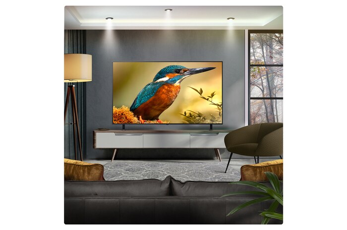 LG 65 inch LG QNED evo AI QNED85 MiniLED 4K Smart TV 2025, 65QNED85A6C