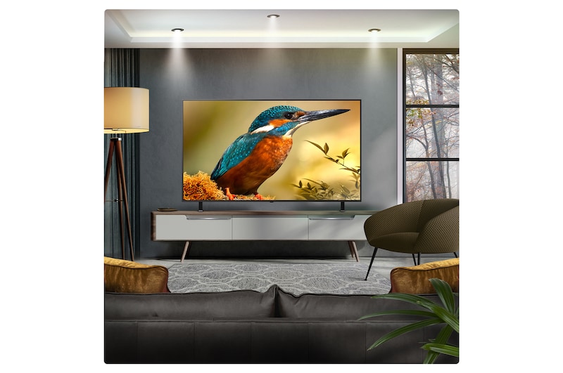 LG 65 inch LG QNED evo AI QNED85 MiniLED 4K Smart TV 2025, 65QNED85A6C