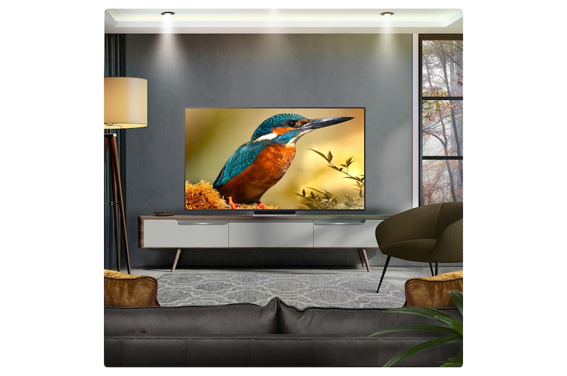 LG 65 inch LG QNED evo AI QNED87 MiniLED 4k Smart TV 2025, 65QNED87A6B