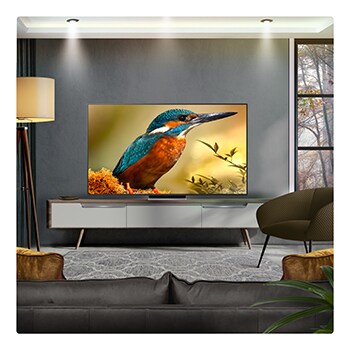 LG 65 inch LG QNED evo AI QNED87 MiniLED 4k Smart TV 2025, 65QNED87A6B
