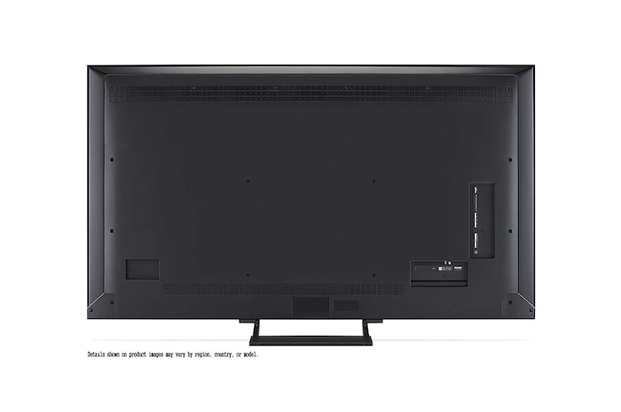 Papegaai op een boomtak in levendige kleur. De titel bespreekt hoe LG Al Picture Pro indrukwekkende visuele verbeteringen maakt in de resolutie, helderheid en diepte van de scene.