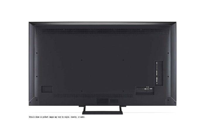 Papegaai op een boomtak in levendige kleur. De titel bespreekt hoe LG Al Picture Pro indrukwekkende visuele verbeteringen maakt in de resolutie, helderheid en diepte van de scene.