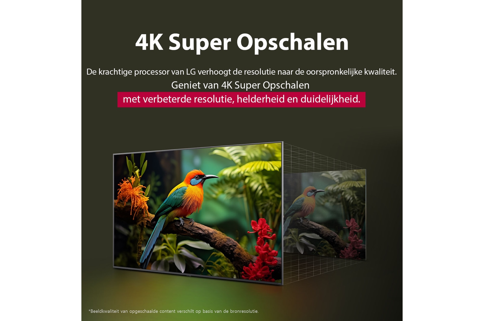 Vóór en na vergelijking van hoe LG 4K Super Opschalen de beeldkwaliteit verbetert. Twee panelen met dezelfde afbeelding van een kleurrijke vogel die op een tak in een bos zit; het rechter paneel is vervaagd. De titel beschrijft hoe 4K Super Opschalen de resolutie, helderheid en duidelijkheid verbetert. 