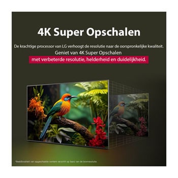 Vóór en na vergelijking van hoe LG 4K Super Opschalen de beeldkwaliteit verbetert. Twee panelen met dezelfde afbeelding van een kleurrijke vogel die op een tak in een bos zit; het rechter paneel is vervaagd. De titel beschrijft hoe 4K Super Opschalen de resolutie, helderheid en duidelijkheid verbetert. 