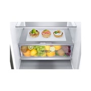 LG 384L inhoud | C | DoorCooling+™ | FreshBalancer™ | FRESHConverter™ | Total No Frost | Smart Inverter Compressor, GBB72PZVCN1