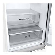 LG Altijd zuinig | D | Door Cooling+ | 341L inhoud | Total no frost | Inverter Linear Compressor| Groter koel & vriesvak | 36dB – Stilste koelkast, GBB61SWGFN