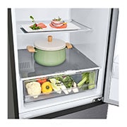 LG Door Cooling+ - Door en door koel | 341L inhoud | Smart Inverter Compressor, GBP61DSPGC