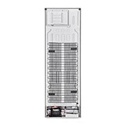 LG Door Cooling+ - Door en door koel | 341L inhoud | Smart Inverter Compressor, GBP61DSPGC