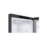 LG Door Cooling+ - Door en door koel | 384L inhoud | Smart Inverter Compressor, GBP62DSSGR