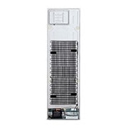 LG Door Cooling+ - Door en door koel | 384L inhoud | Smart Inverter Compressor, GBP62SWNGN