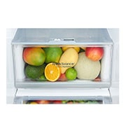 LG 625L inhoud | DoorCooling+™| FRESHBalancer™ | Total No Frost | Water- & ijsdispenser | Inverter Linear Compressor, GSL960PZVZ