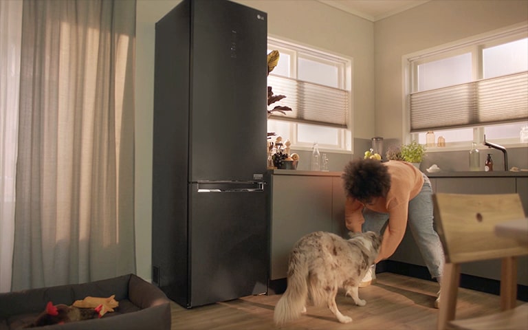 Een vrouw en een hond spelen naast de koelkast. Dit beeld gaat over in het andere beeld. De koelkast heeft een sticker met energieklasse A.