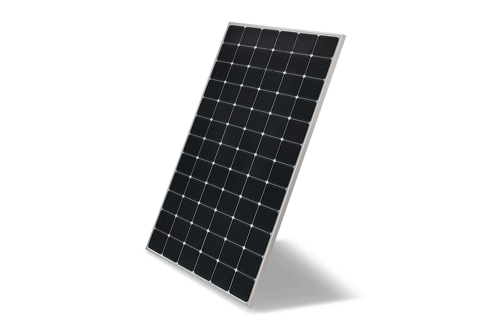 Vooraanzicht van Dubbelzijdige panelen NeON 2 BiFacial 72 Cell