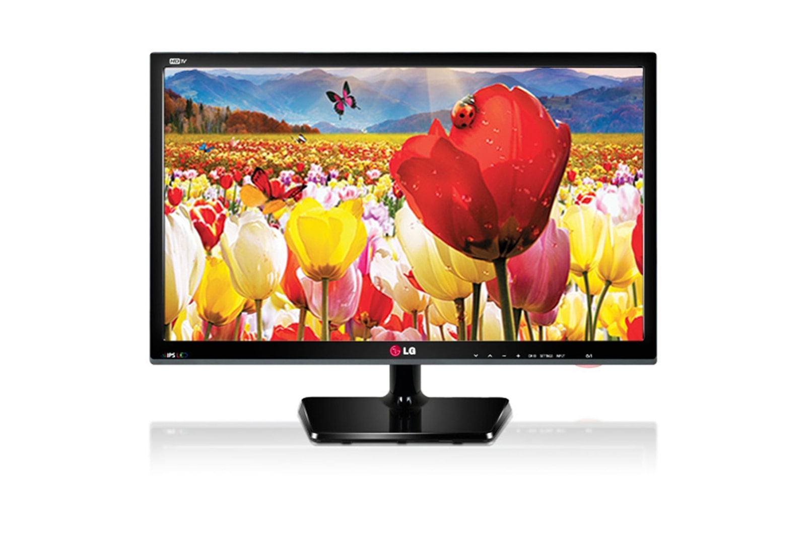 Front view with infill image