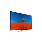 LG 55" (139 cm) SUPER UHD TV SK8500 | α7 Intelligent Processor | Nano Cell Display Pro | Full Array LED | Cinema HDR met Dolby Vision , 55SK8500PLA