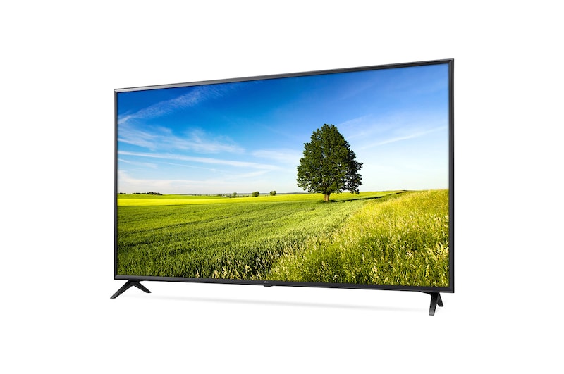 LG 55" (139 cm) UHD TV | 4K Display | 4K Active HDR | Grote kijkhoek | webOS met ThinQ AI, 55UK6300PLB