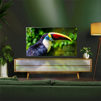 LG 55 inch LG LED UHD UR78 4K Smart TV - 55UR78006LK, 55UR78006LK