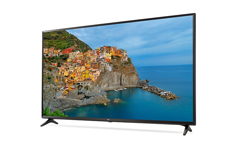 LG 65" (165 cm) | 4K UHD TV | IPS Display | Bilion Rich Colours | Active HDR | webOS 3.5 Smart TV, 65UJ630V