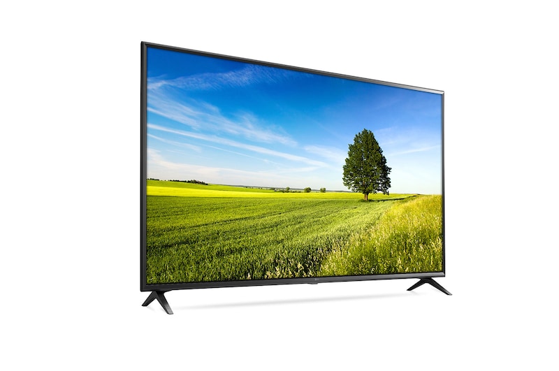 LG 65" (165 cm) UHD TV | 4K Display | 4K Active HDR | Grote kijkhoek | webOS met ThinQ AI, 65UK6300PLB