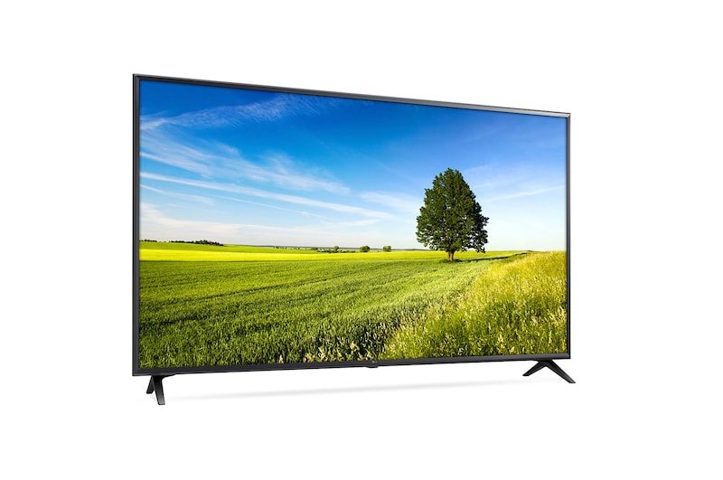 LG 65" (165 cm) UHD TV | 4K Display | 4K Active HDR | Grote kijkhoek | webOS met ThinQ AI, 65UK6300PLB
