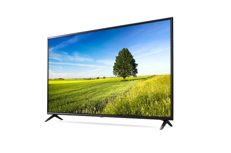 LG 65" (165 cm) UHD TV | 4K Display | 4K Active HDR | Grote kijkhoek | webOS met ThinQ AI, 65UK6300PLB