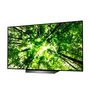 LG 55" (139 cm) | Perfect zwart. Verbluffend contrast. | Het nieuwe brein,α7 Intelligent Processor | Cinema HDR,toont wat de filmmaker bedoelt| Dolby Atmos® Bioscoopgeluid bij je thuis| Het gaat naadloos over in uw omgeving, OLED55B8PLA