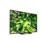 LG 55" (139 cm) | Perfect zwart. Verbluffend contrast. | Het nieuwe brein,α7 Intelligent Processor | Cinema HDR,toont wat de filmmaker bedoelt| Dolby Atmos® Bioscoopgeluid bij je thuis| Het gaat naadloos over in uw omgeving, OLED55B8PLA