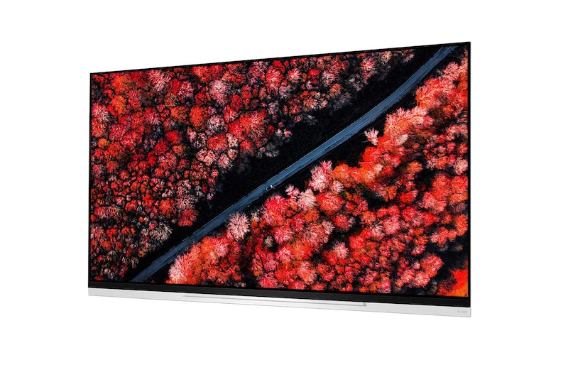 LG 65" (165 cm) LG OLED E9 | α9 Gen 2 Intelligent Processor | Oneindig contrast | Cinema HDR met Dolby Vision | Dolby Atmos | Picture-On-Glass design, OLED65E9PLA