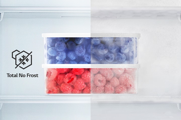 Image depicting a container of blueberries and raspberries, with one half side of the containers covered in frost.	