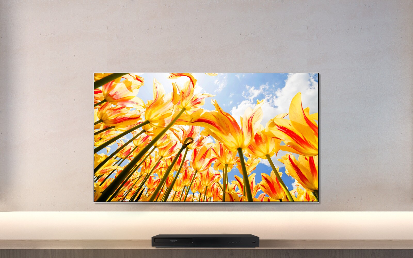4K Blu-ray Player - UBK80 | LG New Zealand