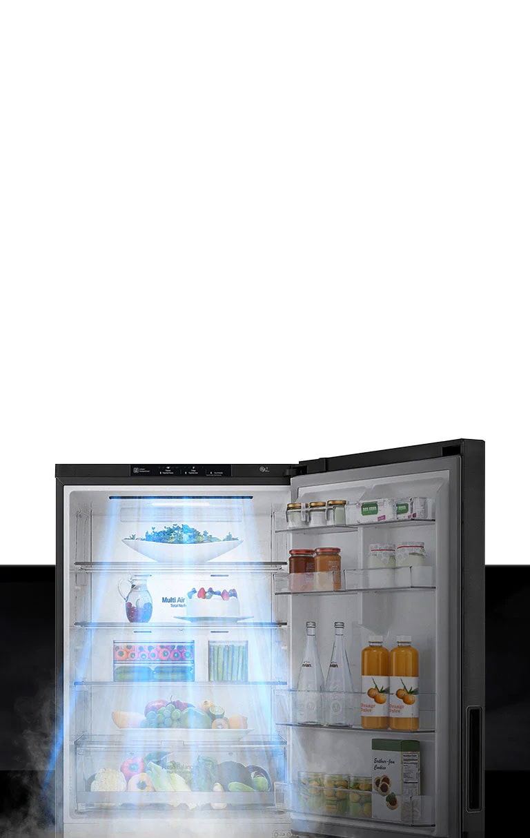 454L Bottom Mount Fridge with Door Cooling in Black Finish GB 455BLE LG NZ