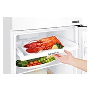 LG 254L Top Mount Fridge with 3 Star Energy Rating, GT-279BWL