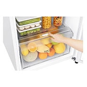 LG 254L Top Mount Fridge with 3 Star Energy Rating, GT-279BWL