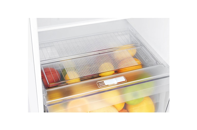 LG 254L Top Mount Fridge with 3 Star Energy Rating, GT-279BWL