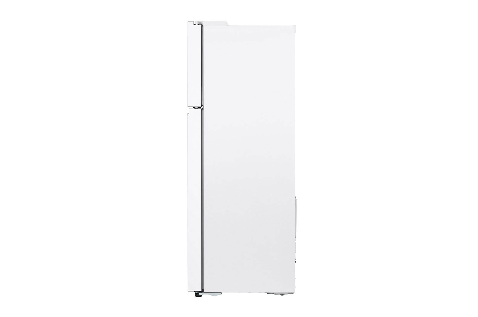 LG 375L Top Mount Fridge in White Finish, GT-5W