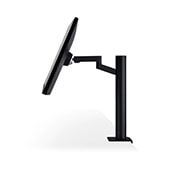 LG 32” Class UltraFine Display Ergo IPS Monitor with HDR10, 32UN880-B