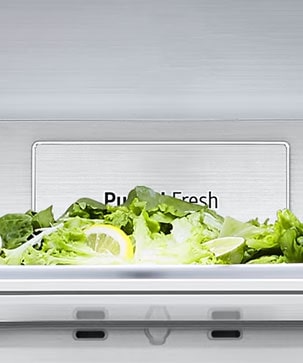 Close-up of metal fresh label inside the refrigerator.