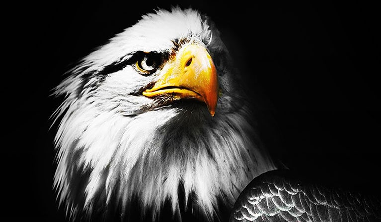 Behold Even Brighter OLED